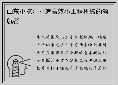 山东小挖：打造高效小工程机械的领航者
